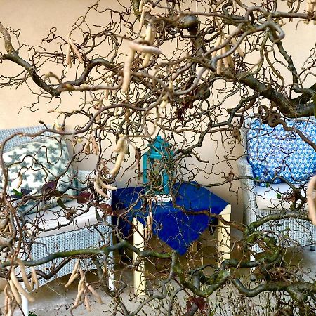 Boccadibacco Bed & Breakfast San Pietro in Cariano Exterior photo